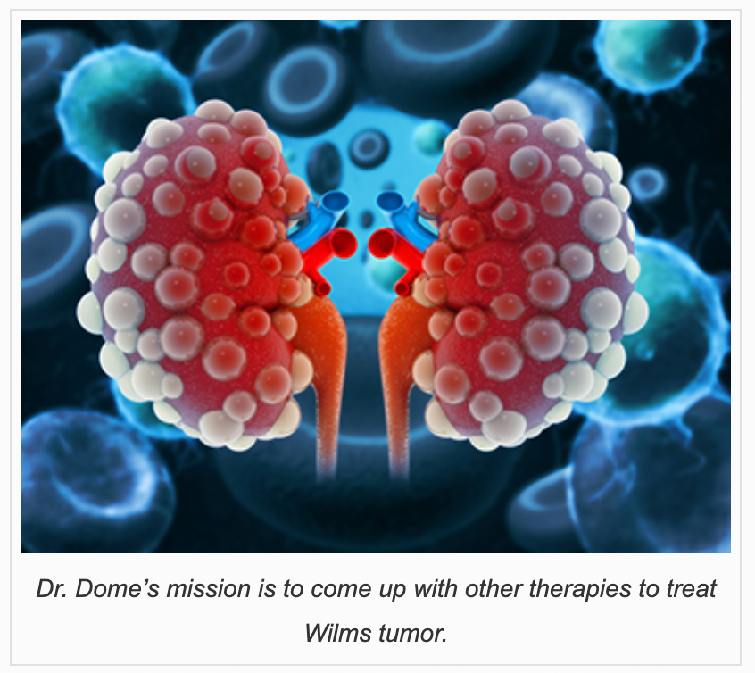 Diseased Kidneys Featured Image
